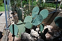 Orto Botanico_160